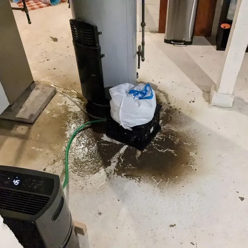 Sewage Backup Cleanup Service in Valencia County, NM